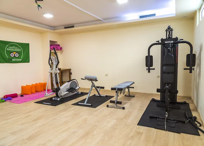 哈乐帕酒店 酒店 干尼亞