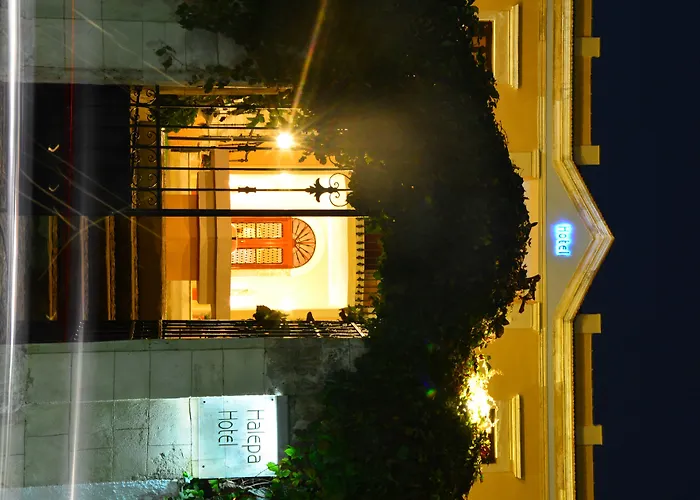 酒店 哈乐帕酒店 4*