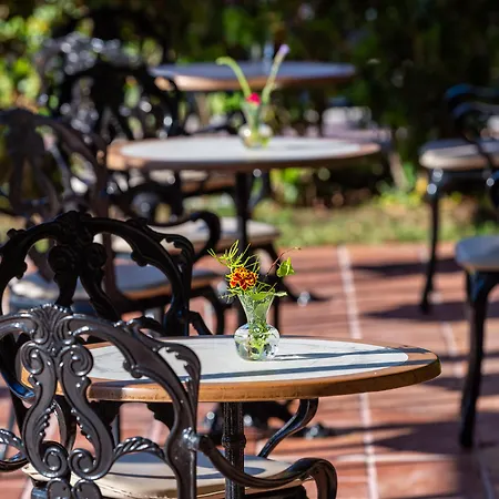 Halepa Hotel 4*